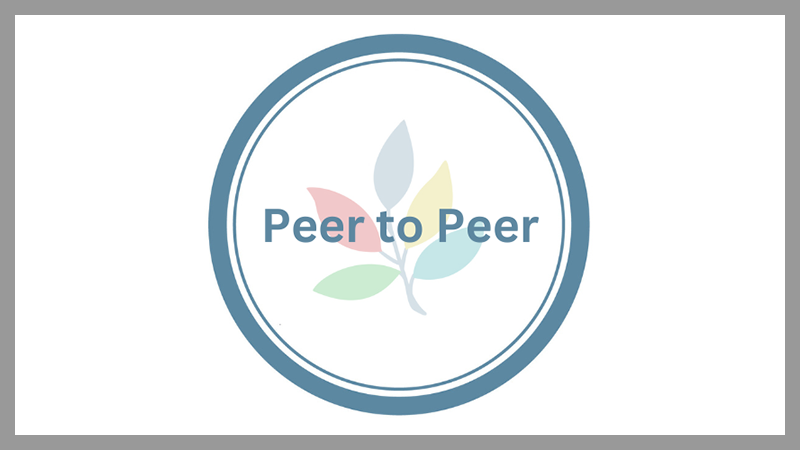 Peer to Peer faculty development program