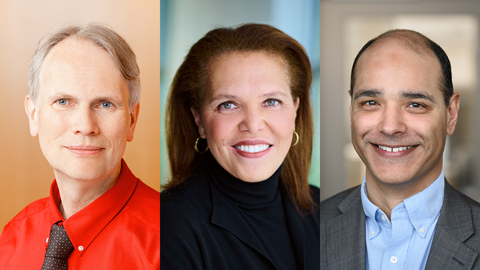 Torsten Nielsen, Gina Ogilvie, Manish Sadarangani elected to the Royal Society of Canada for 2024