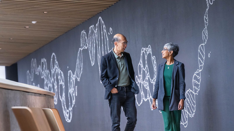 Dr. Raymond Ng and Dr. Anita Palepu walk in front of a biomedical art mural wall